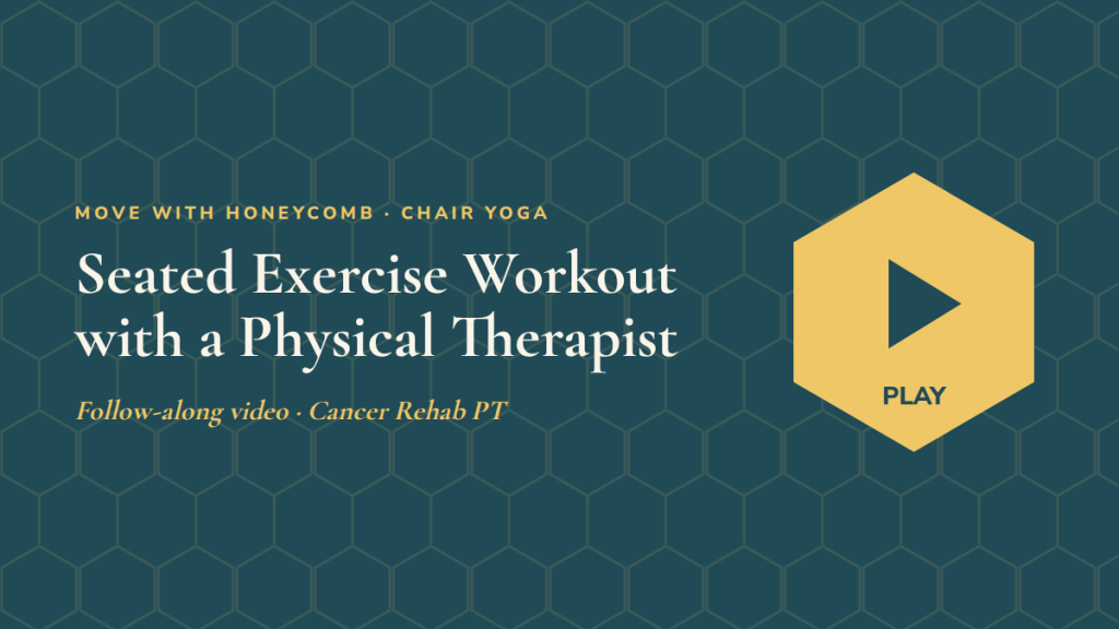 Seated Exercise Workout with a Physical Therapist: follow-along exercise video