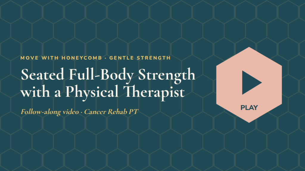 Seated Full-Body Strength with a Physical Therapist: follow-along exercise video