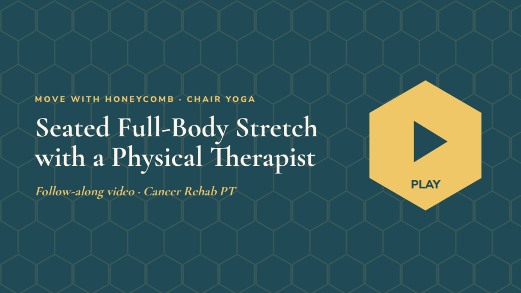 Seated Full-Body Stretch with a Physical Therapist: follow-along exercise video