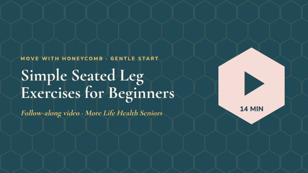 Simple Seated Leg Exercises for Beginners: follow-along exercise video