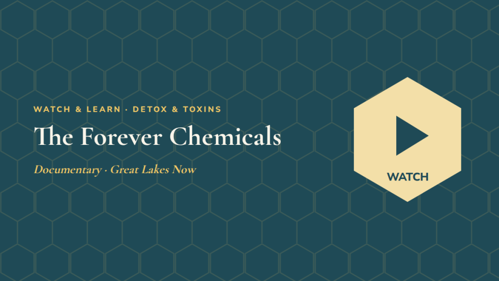 The Forever Chemicals: follow-along exercise video