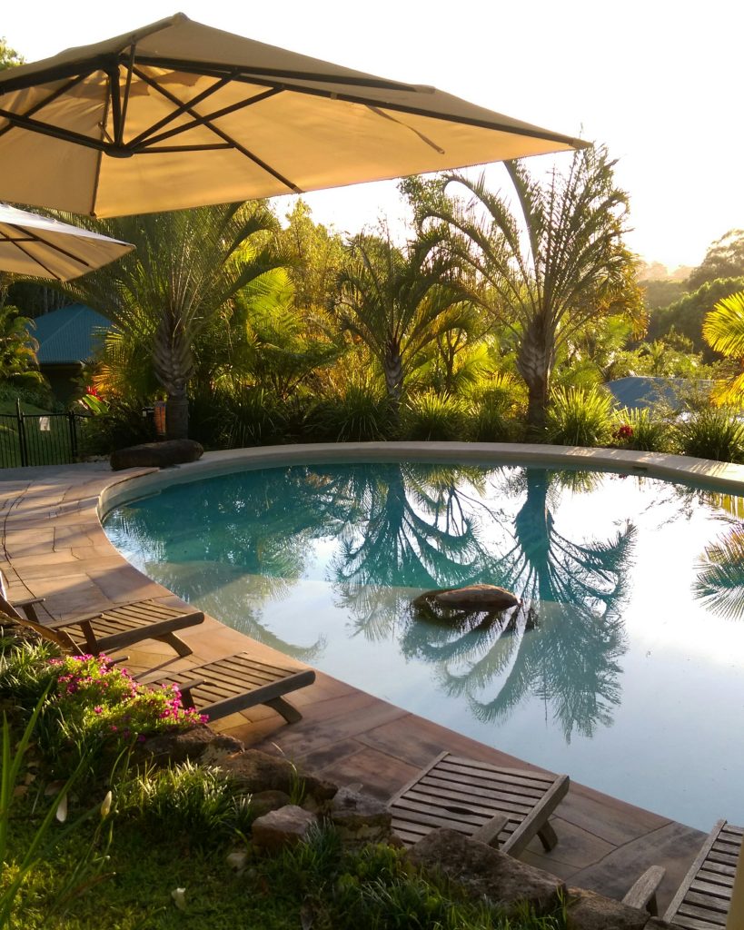 Poolside at Gymea with rainforest views