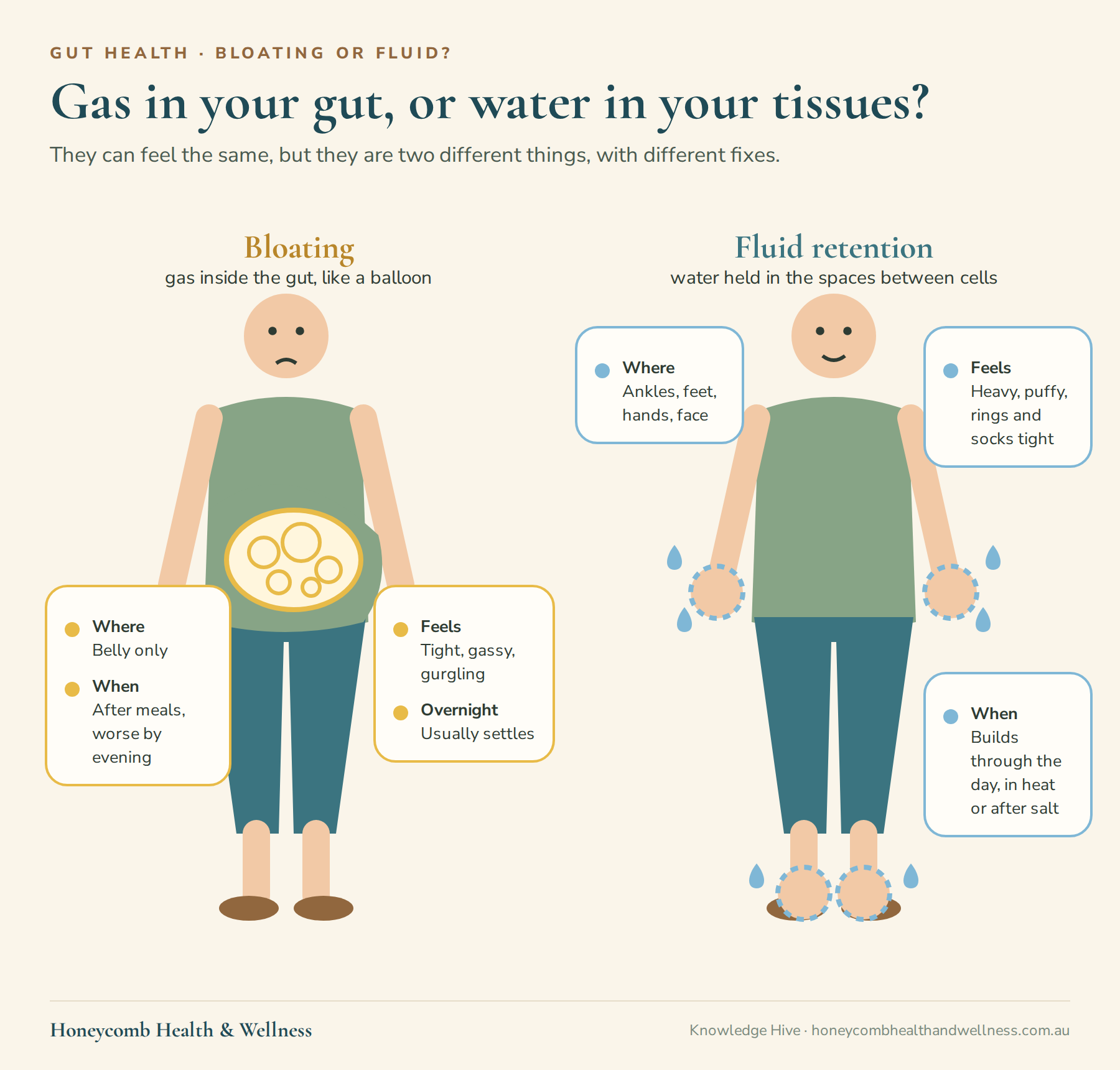 Gas in your gut or water in your tissues: bloating is in the belly after meals and feels tight and gassy; fluid shows in the ankles, feet, hands and face and builds through the day