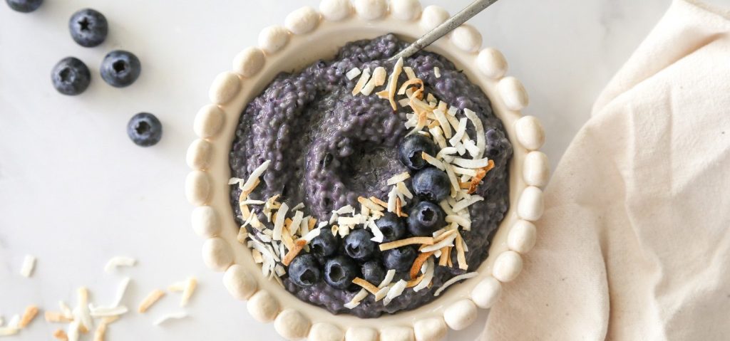 Blueberry Coconut Chia Pudding