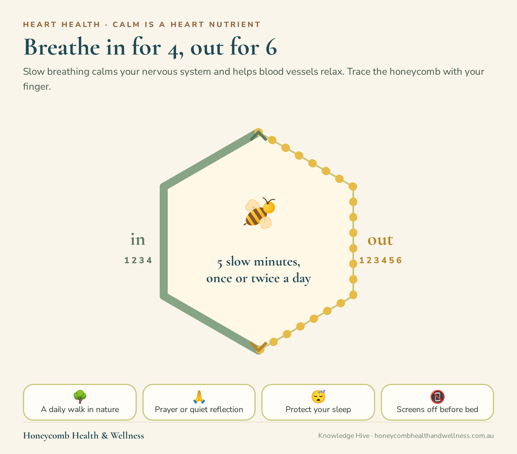 Breathe in for 4, out for 6: trace the honeycomb for 5 slow minutes once or twice a day, plus a daily walk in nature, prayer or quiet reflection, sleep and screens off before bed
