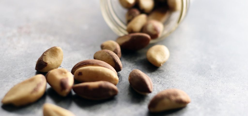 Brazil Nuts