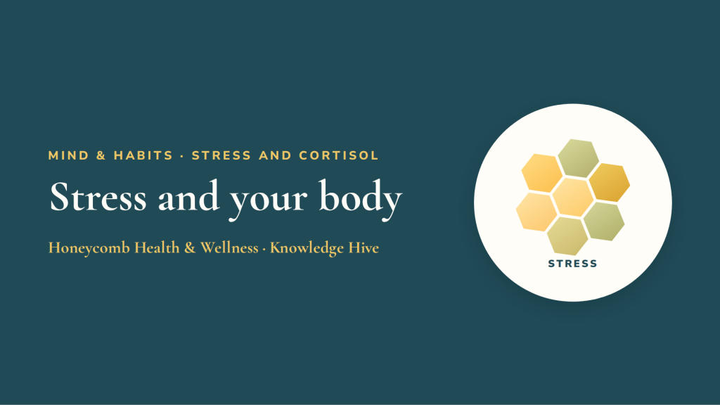 Stress and your body: fight-or-flight versus rest-and-repair