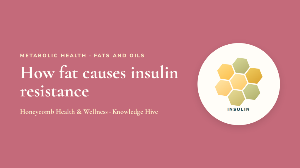 How fat causes insulin resistance: the tantrum inside your cells