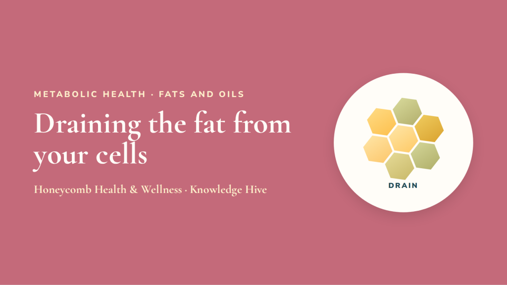 Draining the fat from your cells: a practical guide