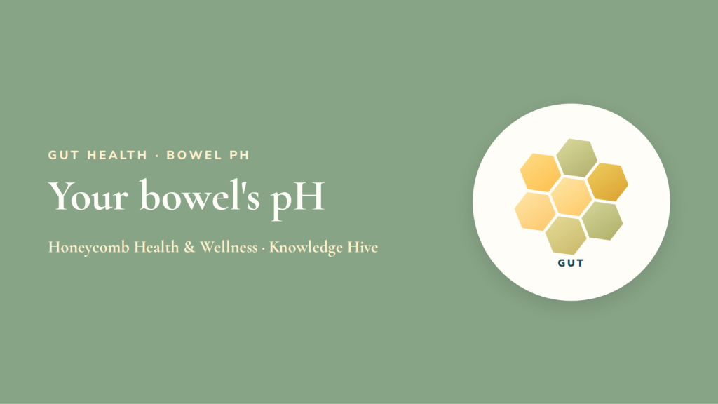 Your bowel’s pH: why fibre keeps it gently acidic (and what meat does instead)