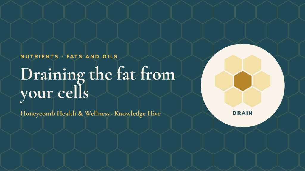Draining the fat from your cells: a practical guide