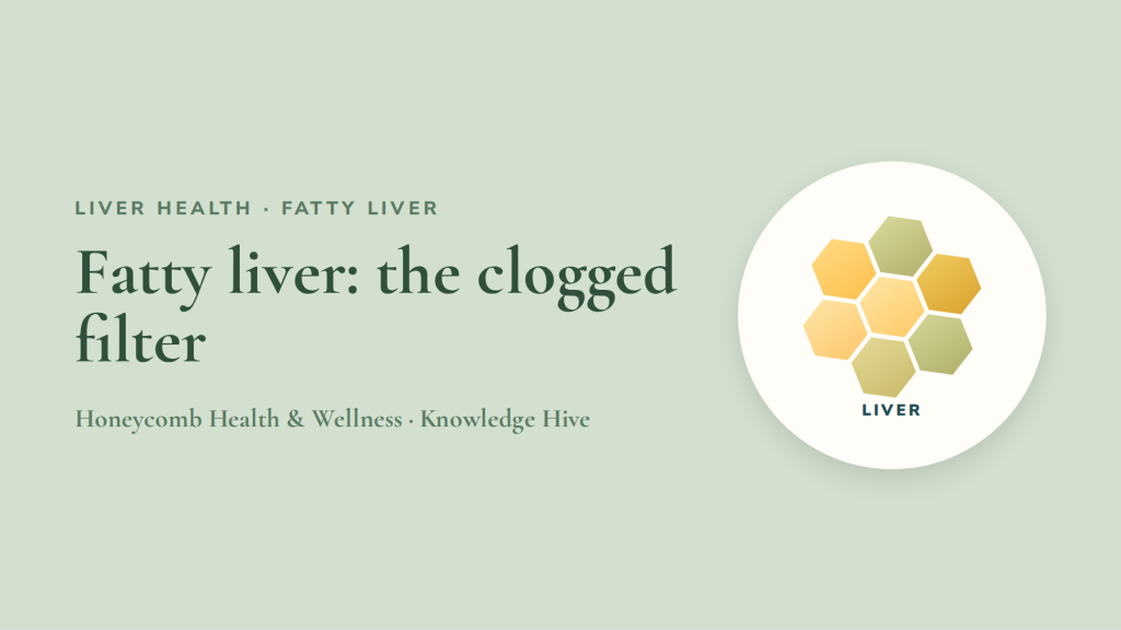Fatty liver: the clogged filter, and how to clean it