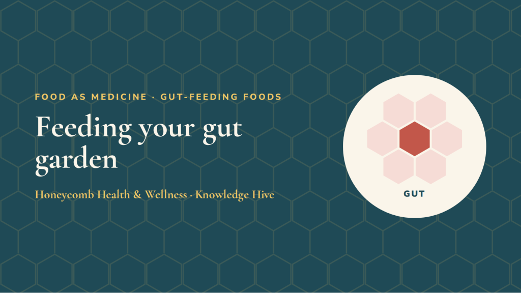 Feeding your gut garden: fibre, resistant starch and fermented foods