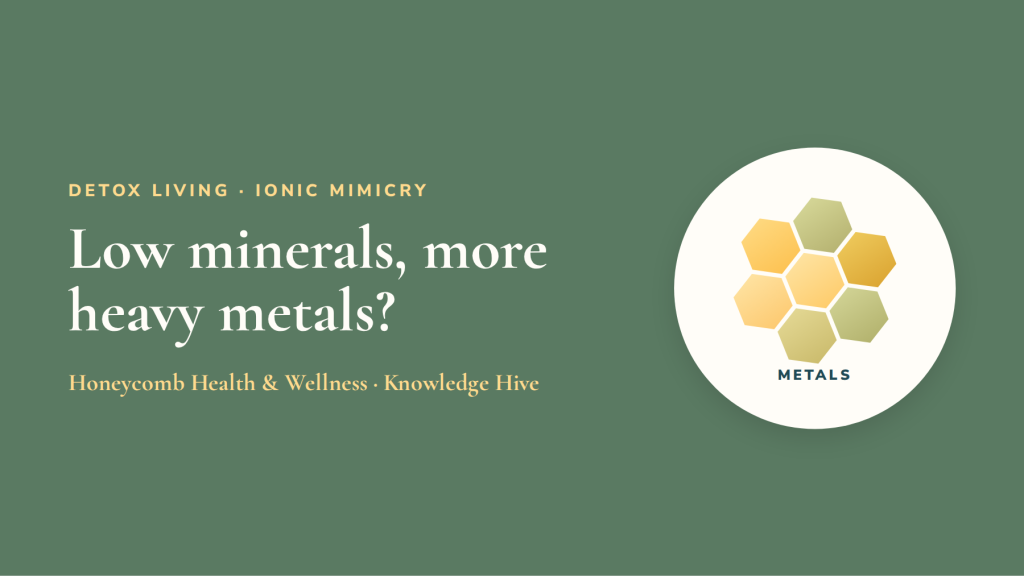Ionic mimicry: why low minerals let more heavy metals in