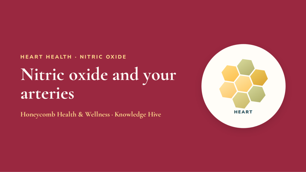 Nitric oxide: why your artery lining matters, and how plants help it