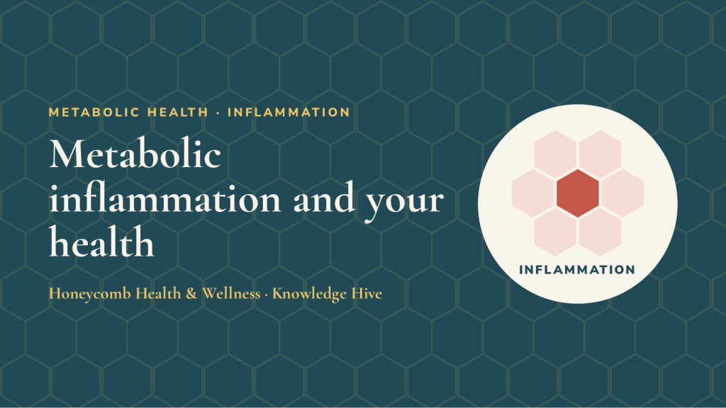 Metabolic inflammation and your health - Honeycomb Knowledge Hive