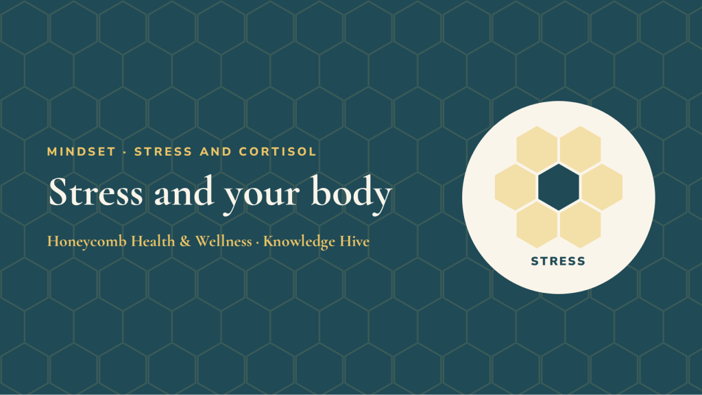 Stress and your body: fight-or-flight versus rest-and-repair