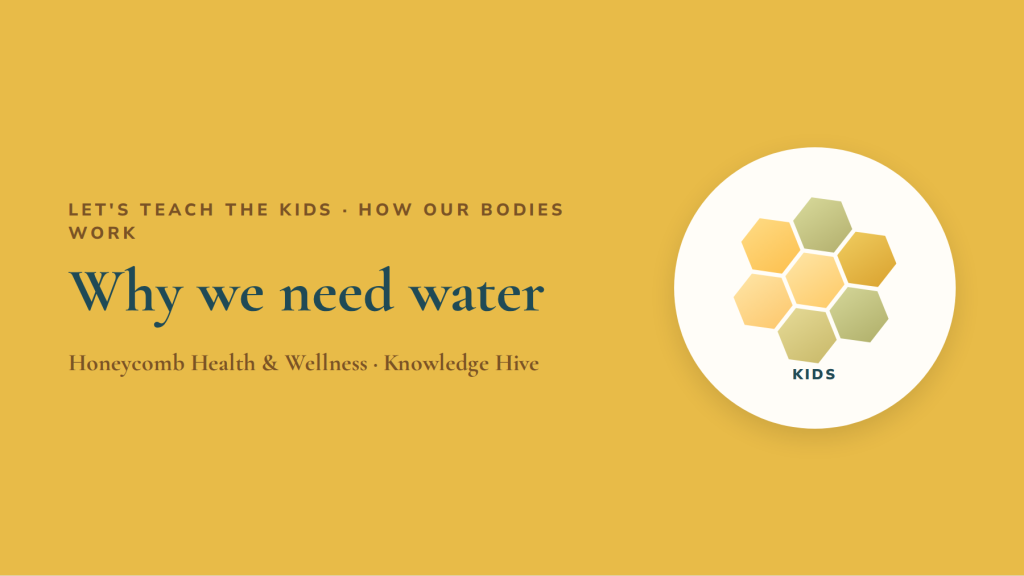 Why we need water: a kids' guide to drinking up