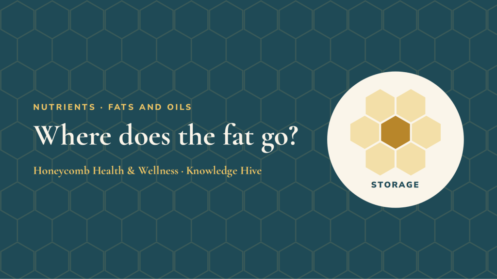 Where does the fat go? Fat cells, muscle and liver