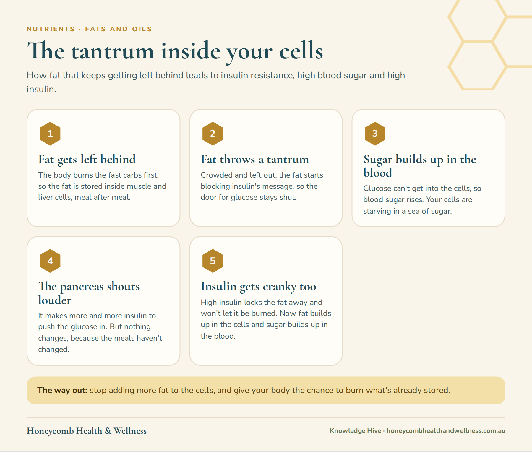 The tantrum inside your cells: stored fat blocks insulin's message, blood sugar rises, the pancreas makes more insulin, and high insulin stops fat being burned