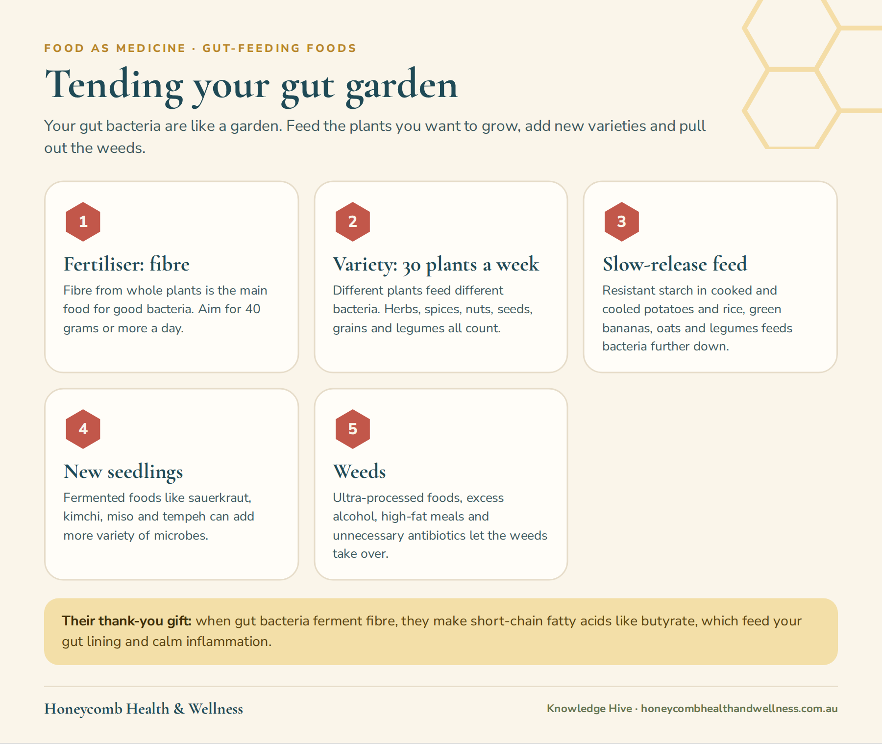 Tending your gut garden: fibre, variety, resistant starch, fermented foods and the weeds to pull out