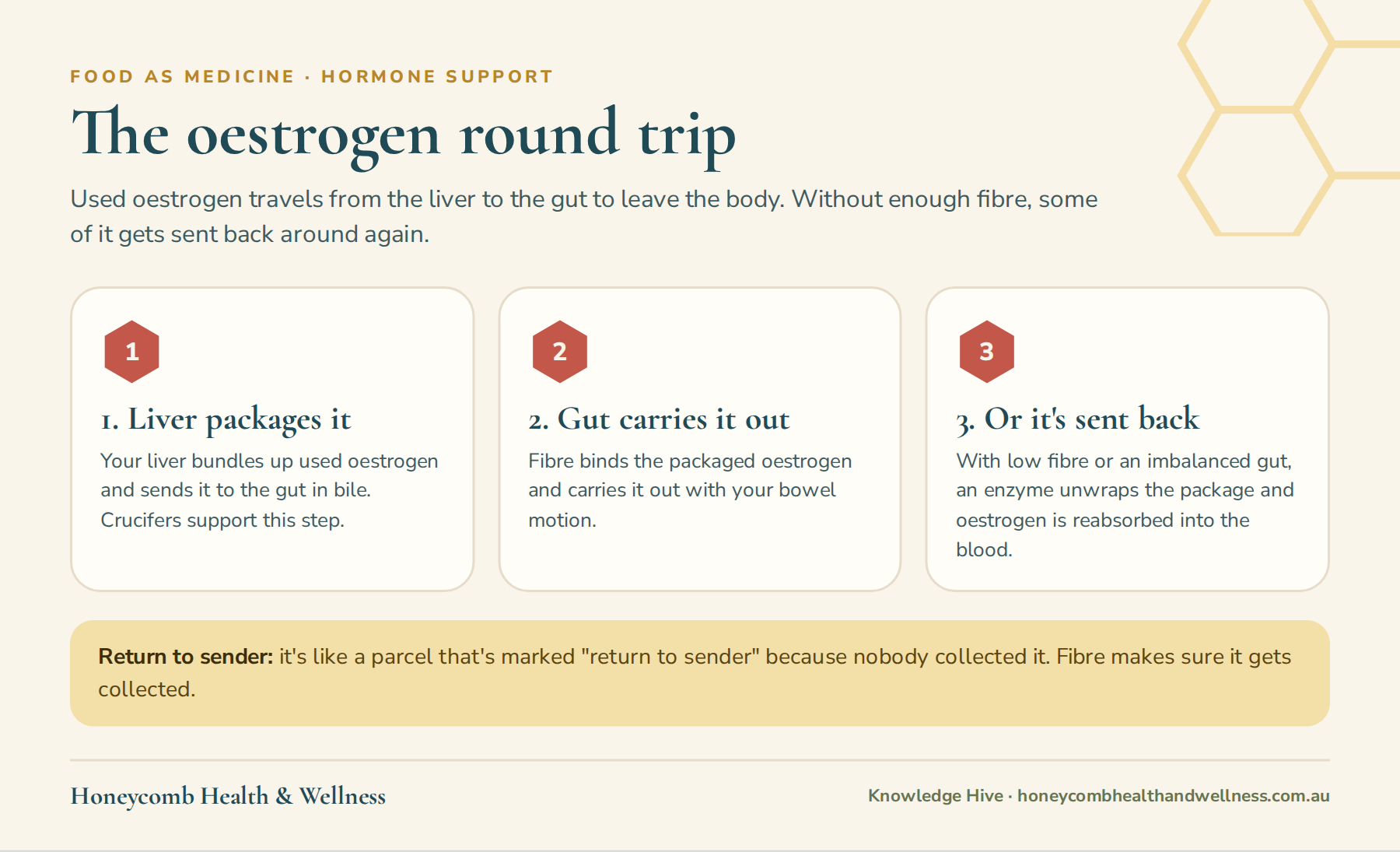 The oestrogen round trip: the liver packages it, fibre carries it out, or it is reabsorbed