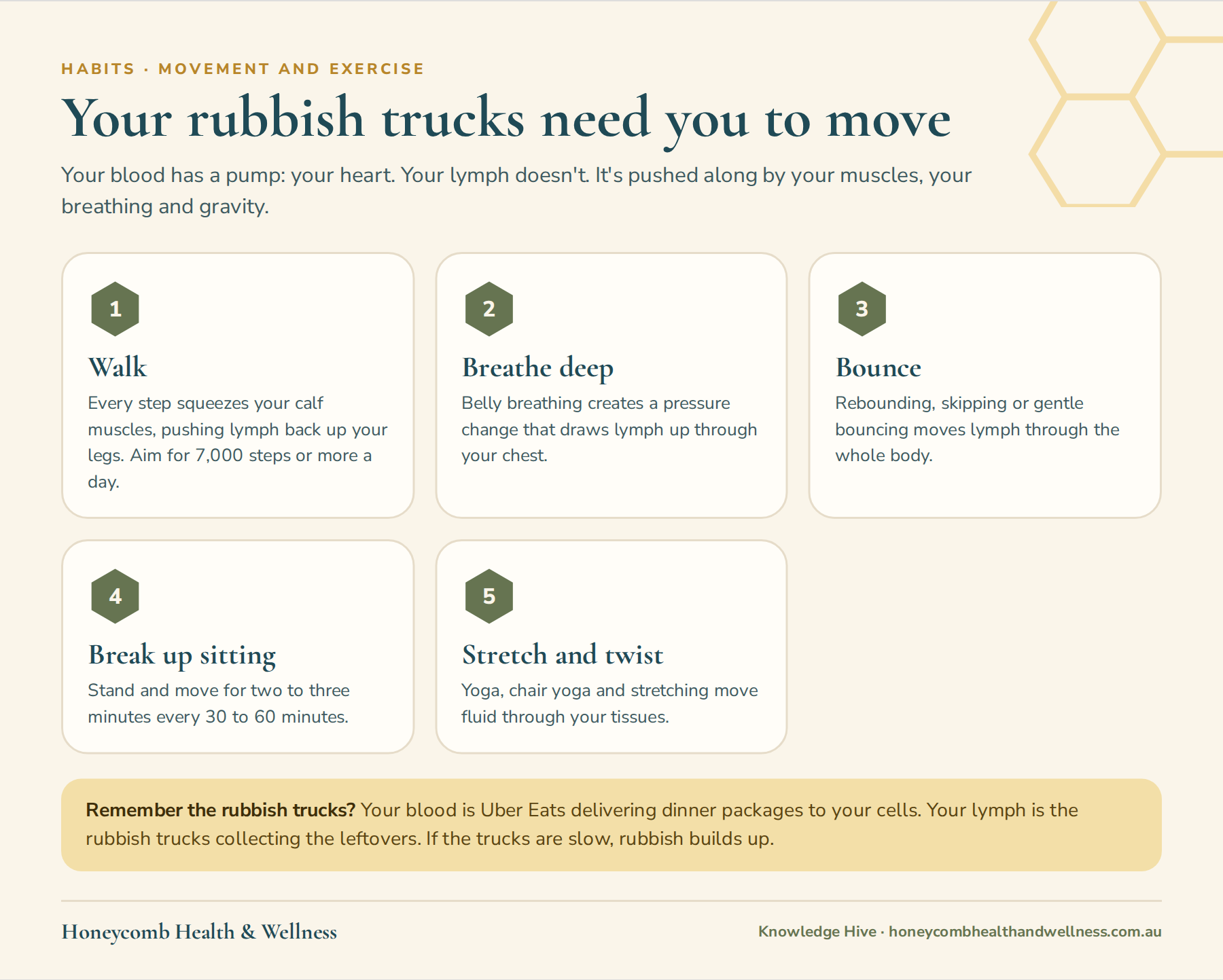 Ways to move your lymph: walk, breathe deep, bounce, break up sitting and stretch