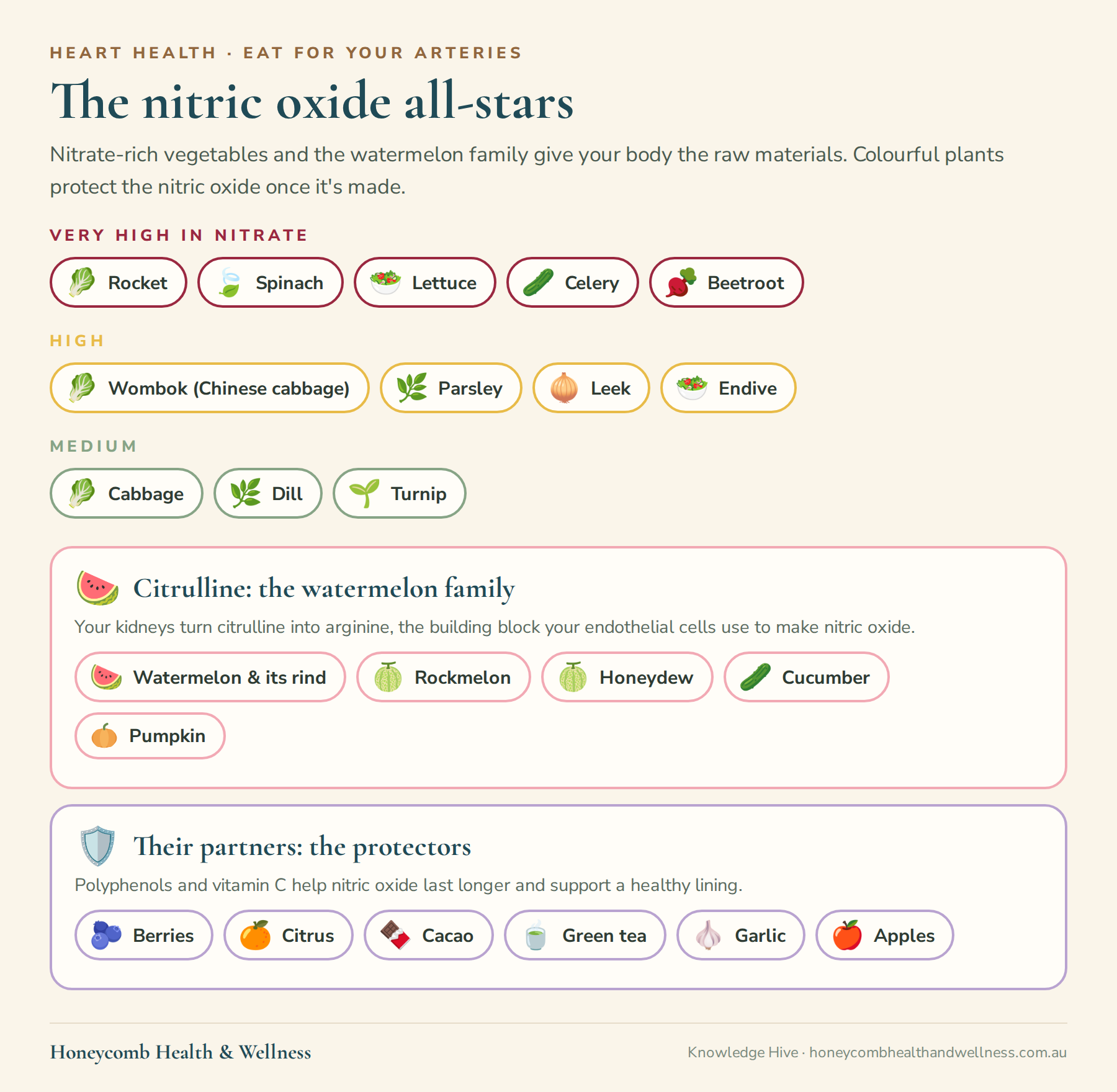 The nitric oxide all-stars: very high in nitrate are rocket, spinach, lettuce, celery and beetroot; high are wombok, parsley, leek and endive; medium are cabbage, dill and turnip. Their protectors are berries, citrus, cacao, green tea, garlic and apples