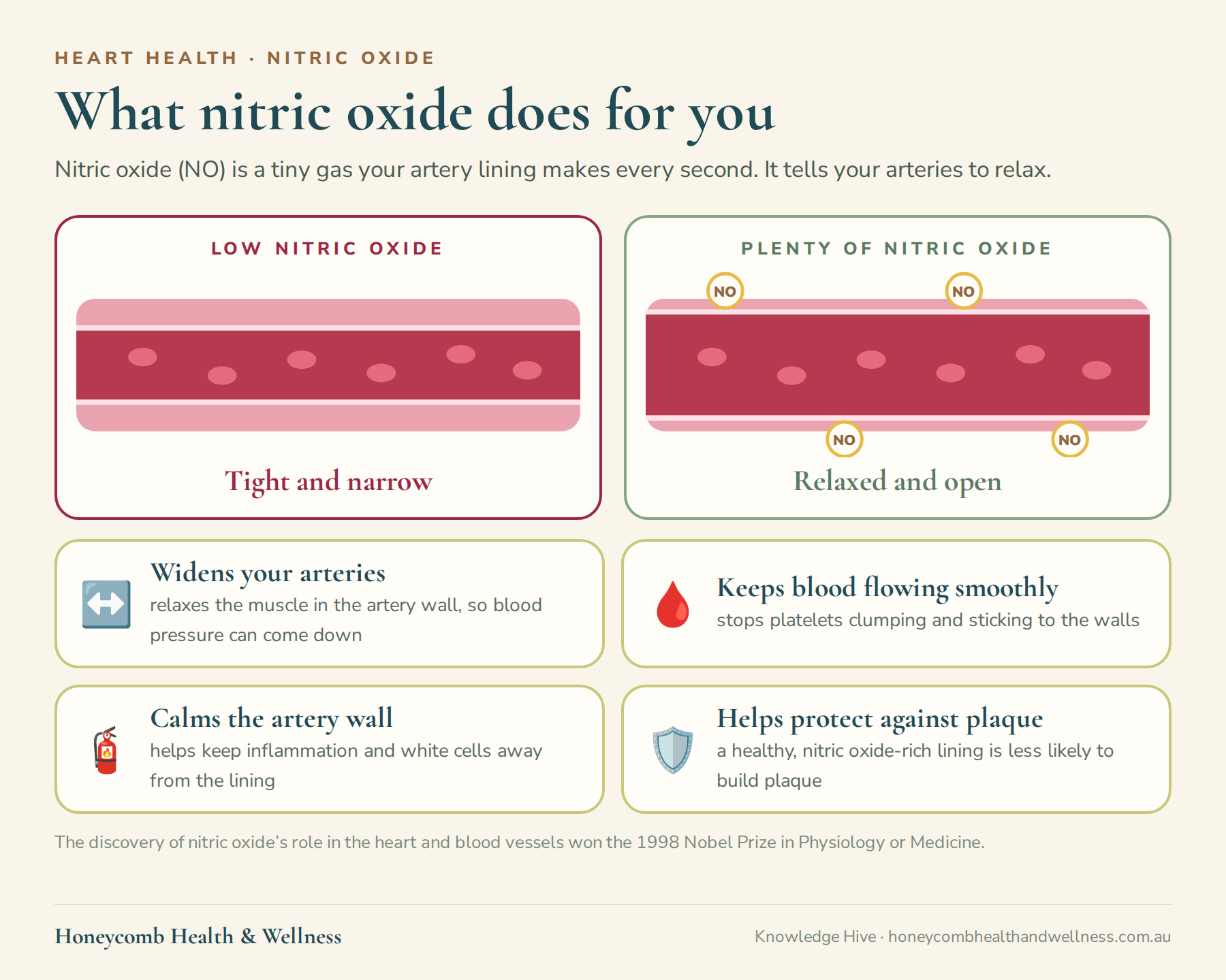 What nitric oxide does: with low nitric oxide arteries are tight and narrow; with plenty they are relaxed and open. It widens your arteries, keeps blood flowing smoothly, calms the artery wall and helps protect against plaque