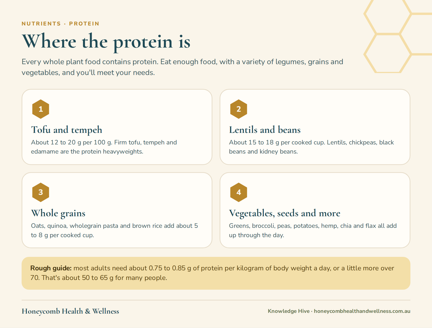 Plant protein sources: tofu and tempeh, lentils and beans, whole grains, and vegetables and seeds