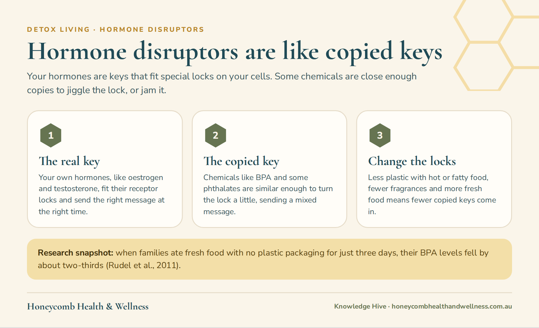 Hormone disruptors are like copied keys that jiggle the lock on your cells