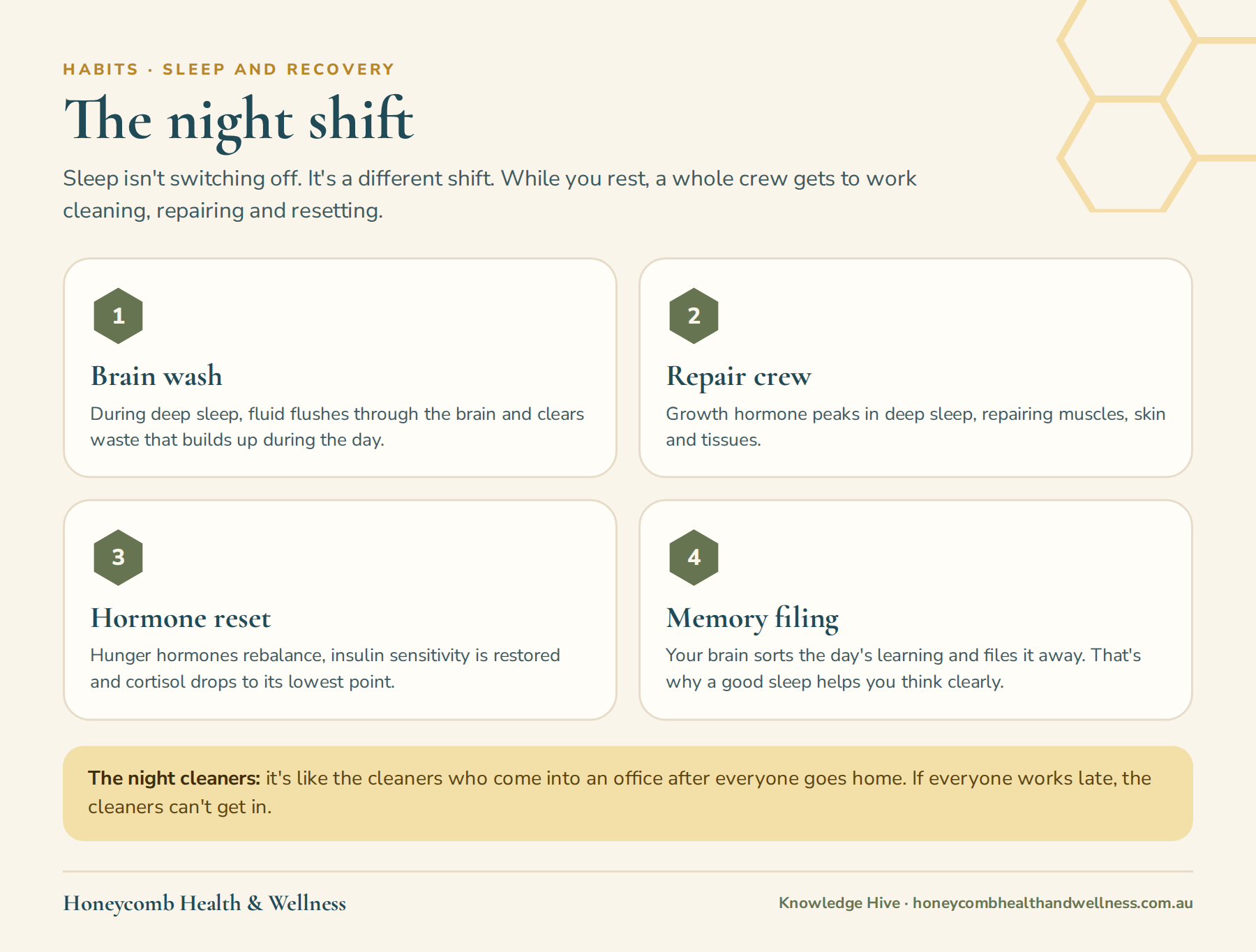 The night shift: during sleep the brain washes away waste, the body repairs, hormones reset and memories are filed
