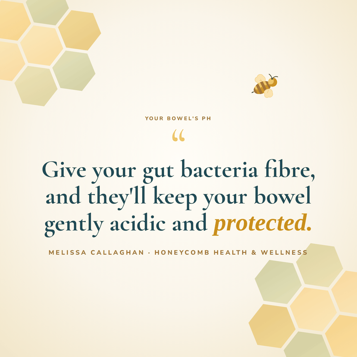 Give your gut bacteria fibre, and they'll keep your bowel gently acidic and protected. Melissa Callaghan, Honeycomb Health and Wellness