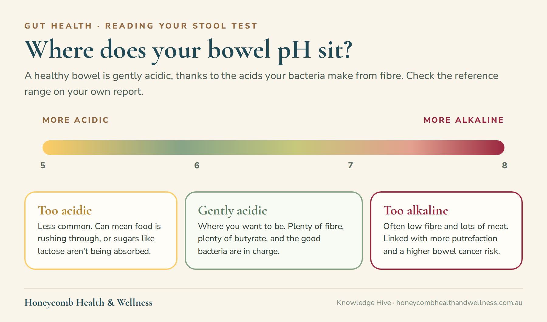 Where does your bowel pH sit? Too acidic can mean fast transit or sugars like lactose not being absorbed; gently acidic is where you want to be; too alkaline often means low fibre and lots of meat