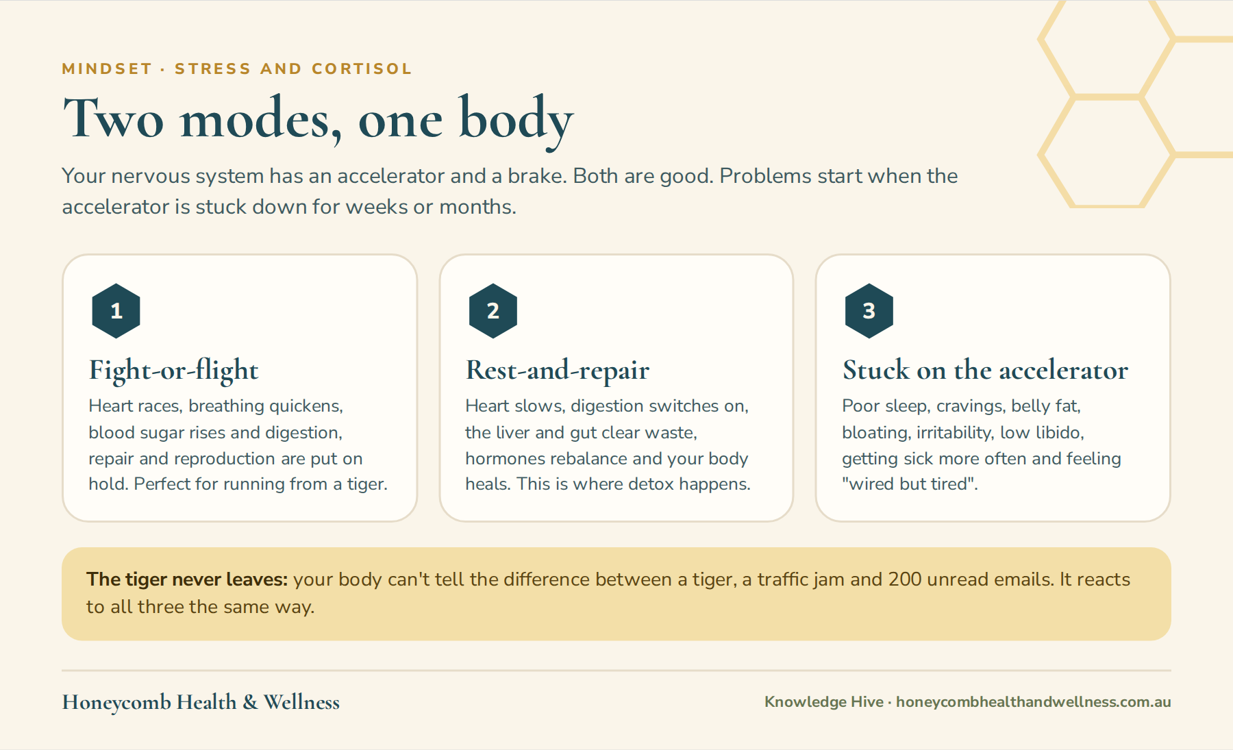 Fight-or-flight versus rest-and-repair: two modes of the nervous system, and the signs of being stuck on the accelerator