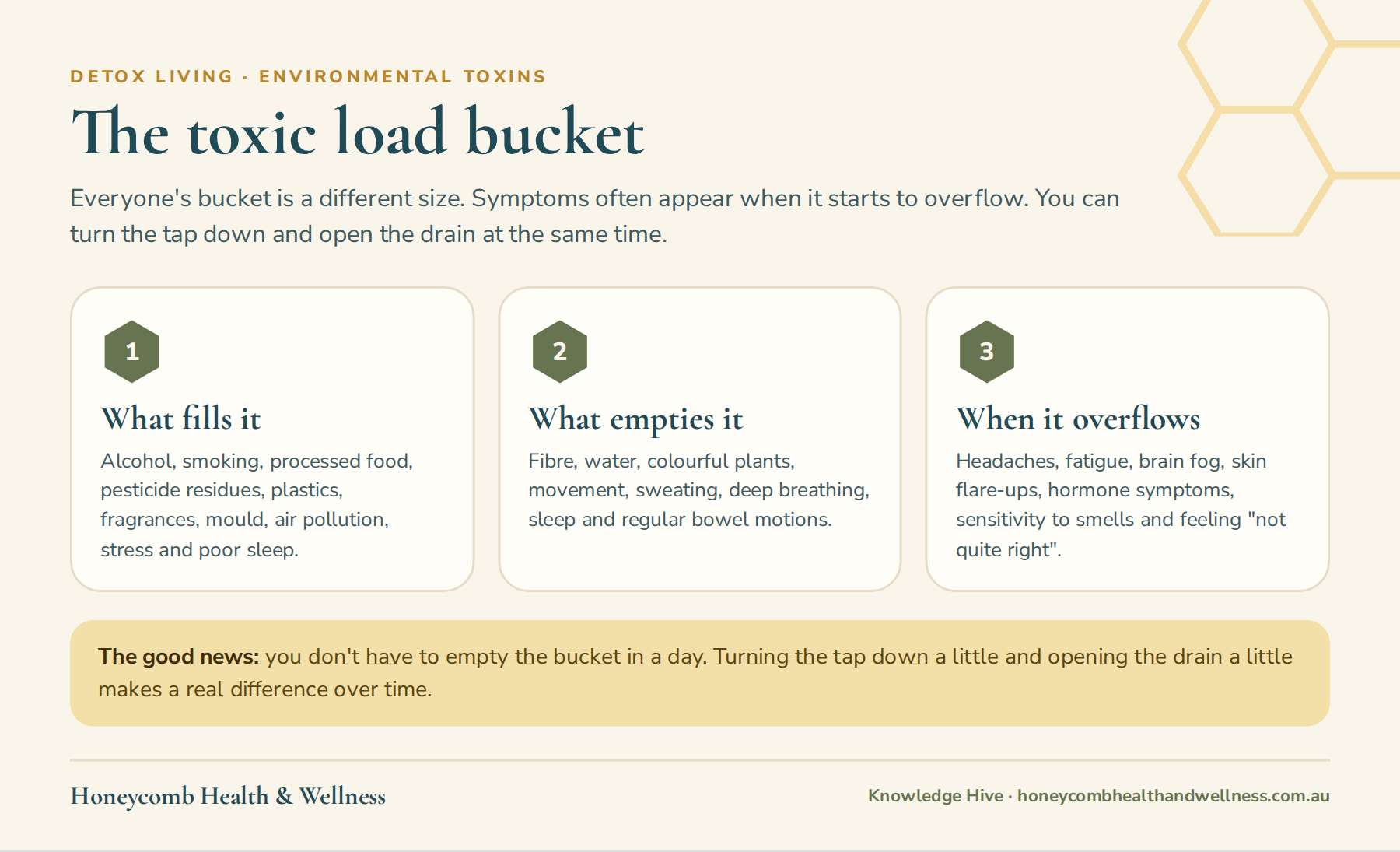 The toxic load bucket: what fills it, what empties it and the symptoms when it overflows