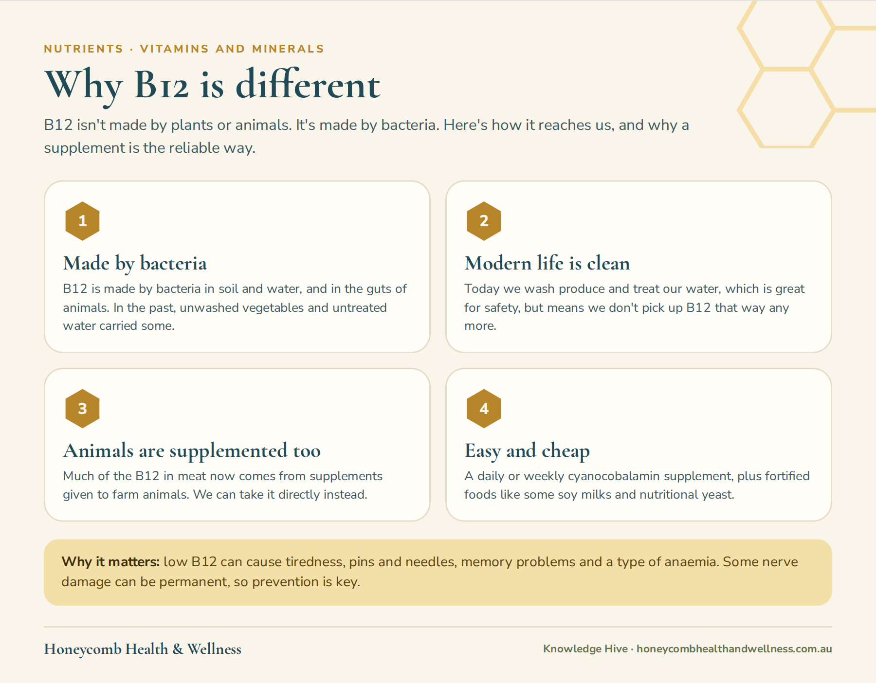 Why vitamin B12 is different: it is made by bacteria, and a supplement is the reliable way to get it