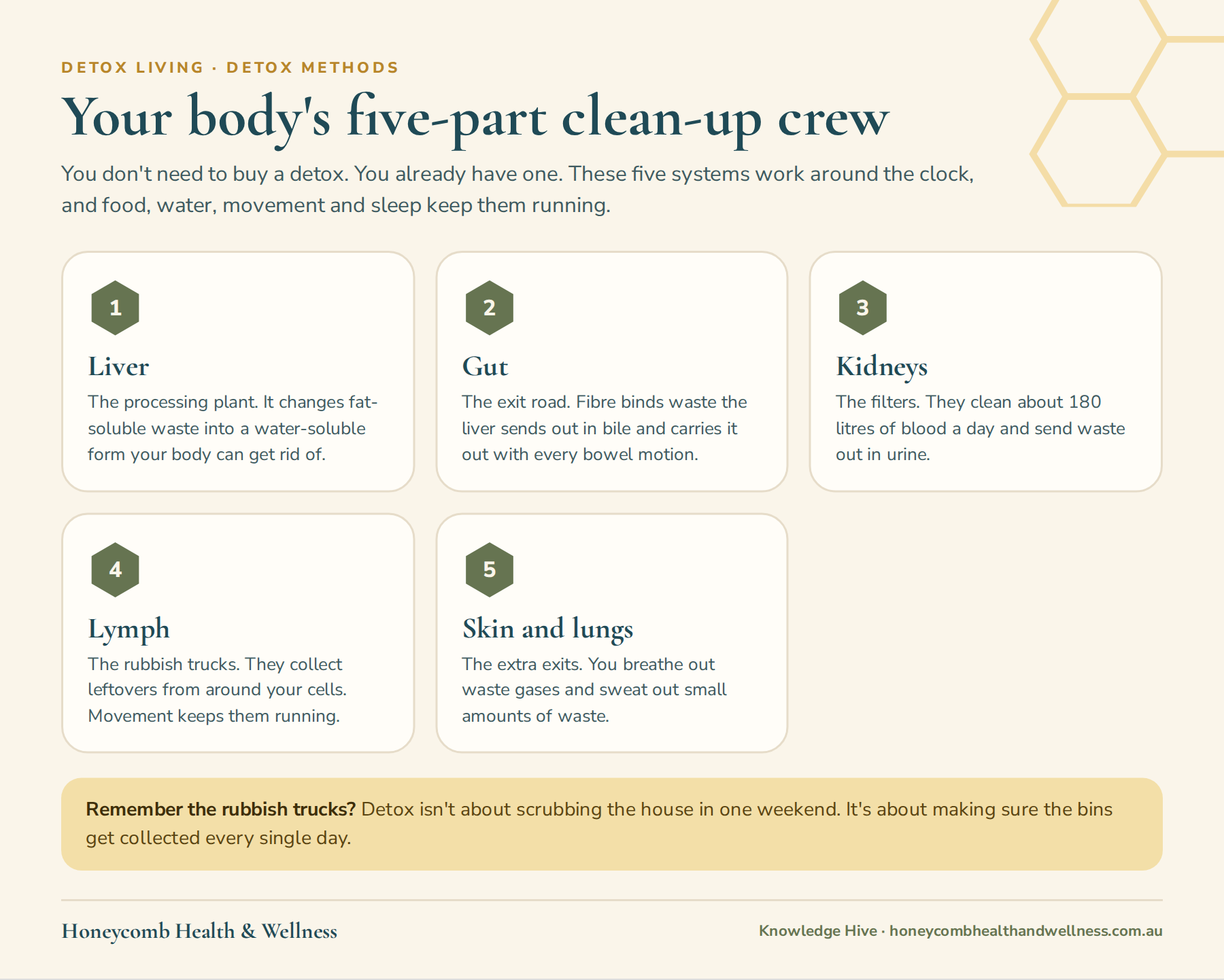 Your body's five-part detox system: liver, gut, kidneys, lymph, and skin and lungs